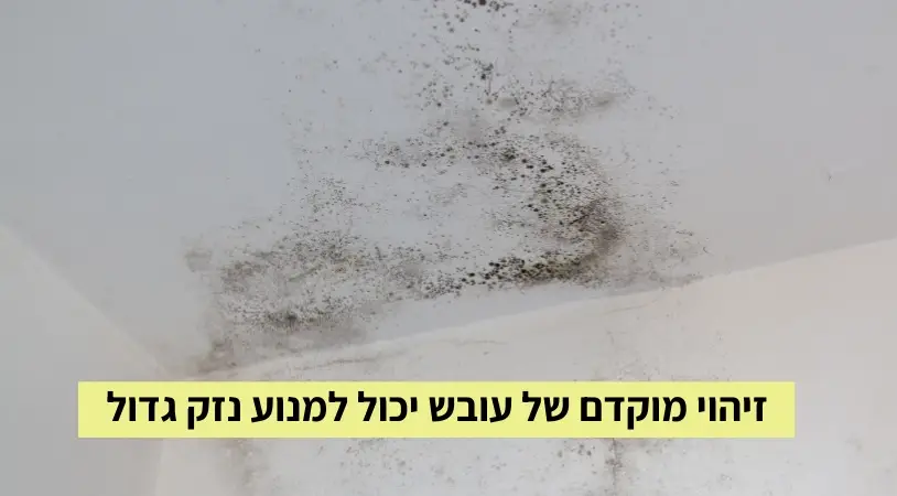 זיהוי מוקדם של עובש יכול למנוע נזק גדול